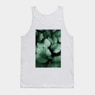 Tropical Lush Palm Leaves Tank Top